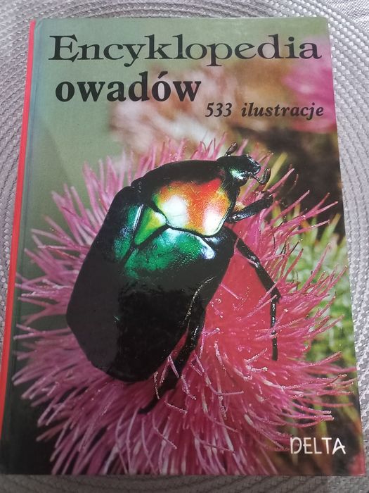 Encyklopedia owadów Chrząszcze