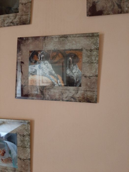 Шикарные фоторамки. Стекло.