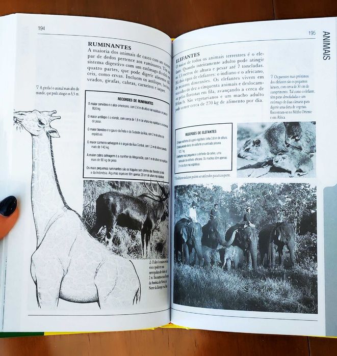 Livro "Arquivo de factos - Resposta a tudo" | Círculo de Leitores