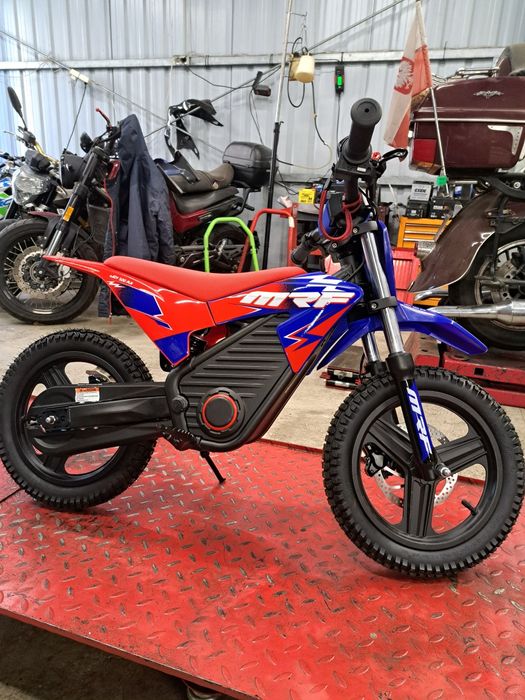 Mrf