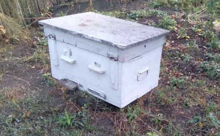 Продам Вулики лежаки