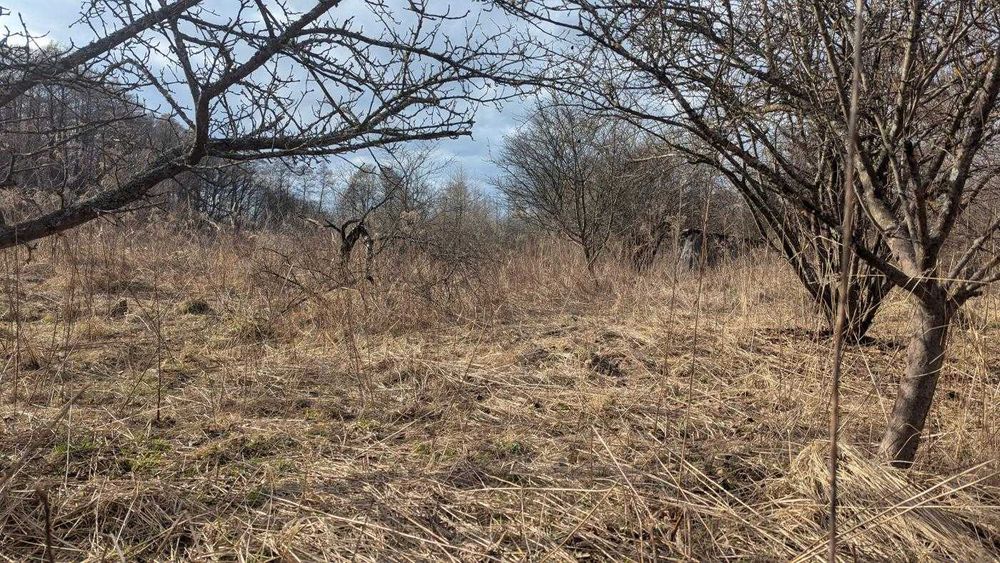 Продається дача 5 сот з будиночком СТ Діброва (12)