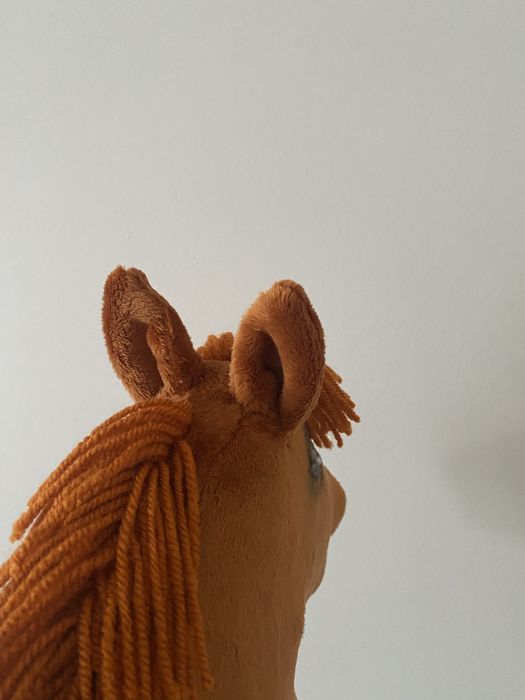 Hobby horse A4 rudy