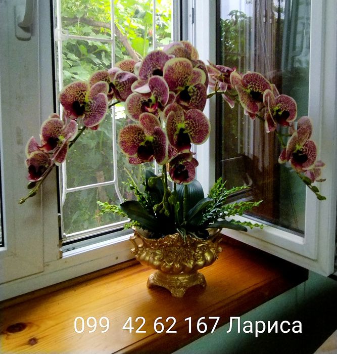 Искусственные орхидеи как живые!