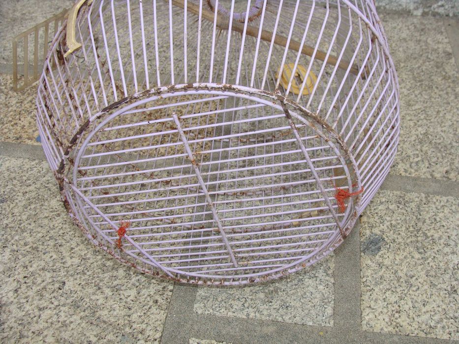 Gaiola Redonda Lilás para Restauro