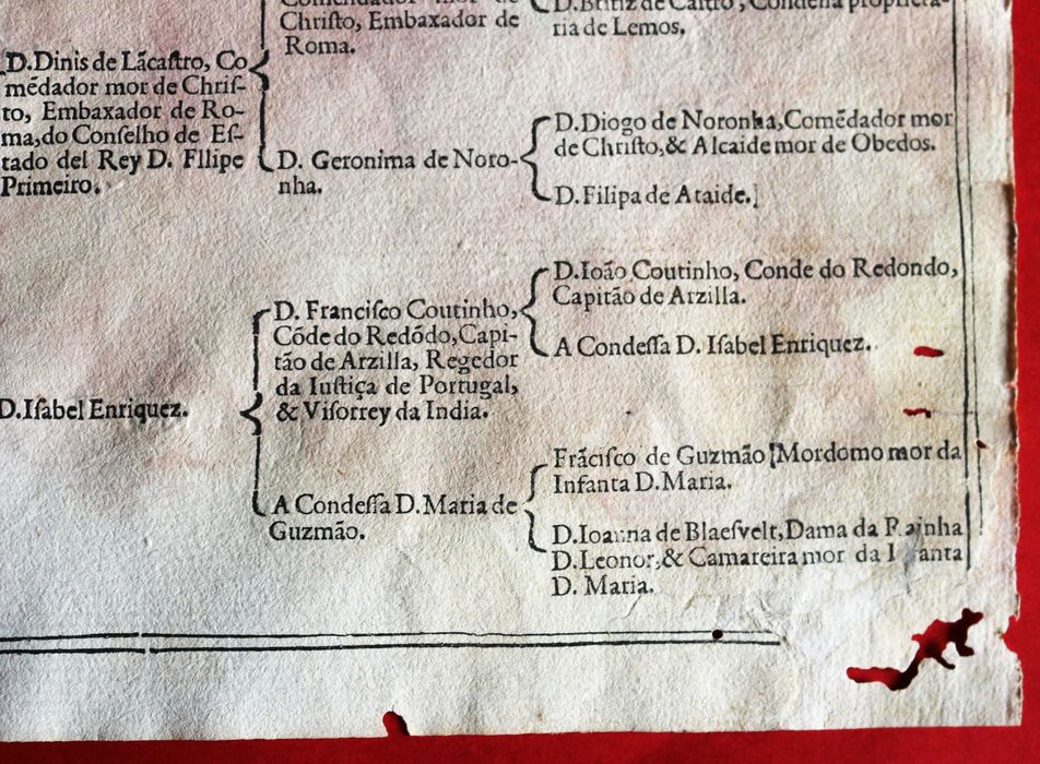 Mascarenhas, Condes de Santa Cruz 1623 árvore costados rara