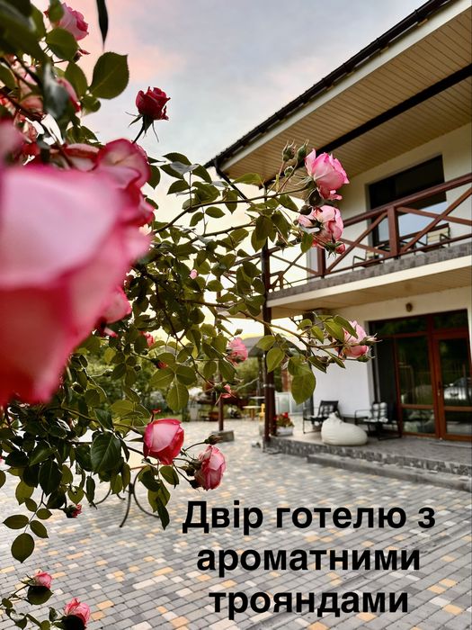 Апартаменти (номери, кімнати) біля моря у готелі «HAPPY» Фонтанка (Одеса)