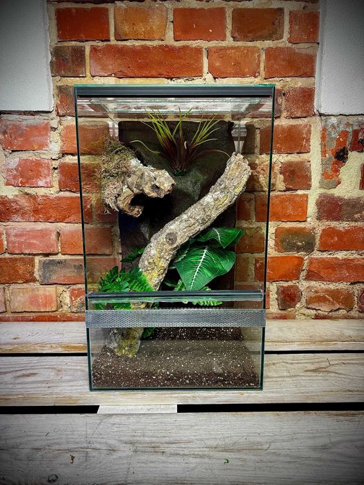 Terrarium szklane z leśnym wystrojem 30x30x50 cm. AlleTerra