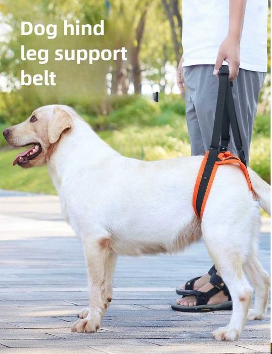 Arnês de elevação p/cão, patas traseiras para ajudar a andar