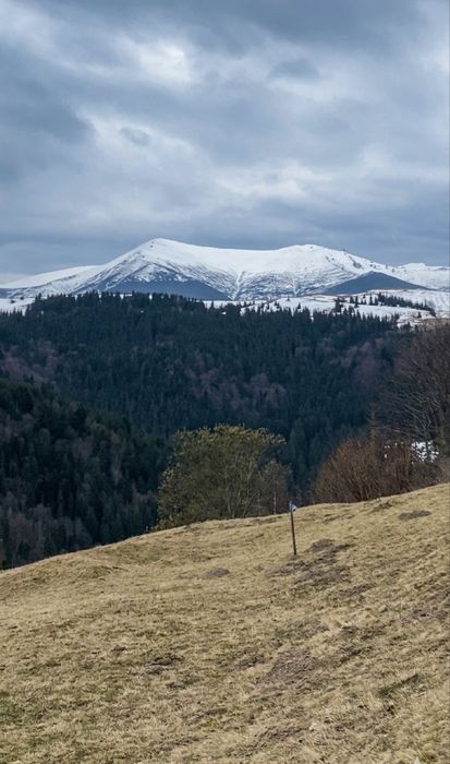 25 соток біля лісу, панорама Чорногори /Власник / без сусідів /світло
