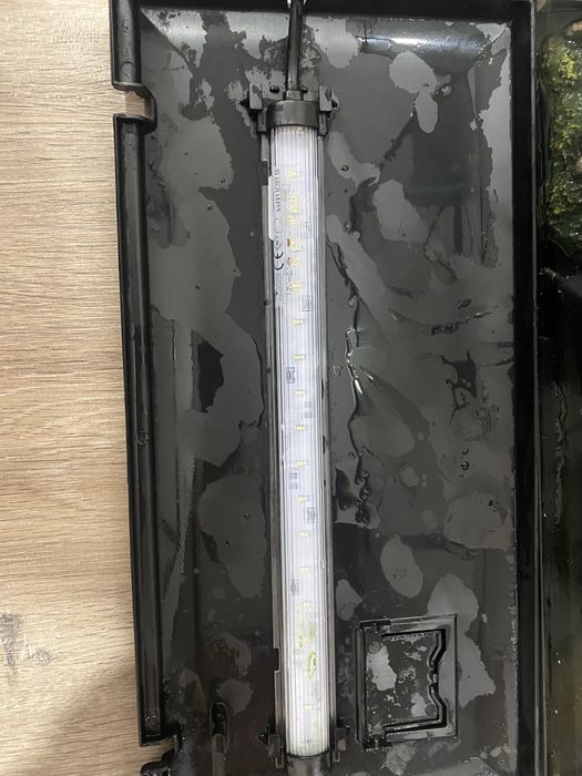 Aquario aquatlantis 18 litros+acessorias+alimento peixes