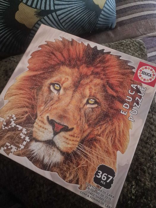 Puzzle Educa 367 peças