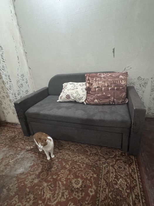 Диван розкладний