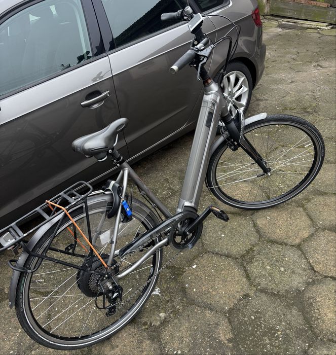 Rower elekryczny Sparta