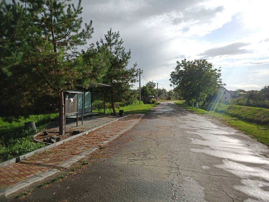 Продам ділянку 25 сотих зі старим будинком, с. Ставки