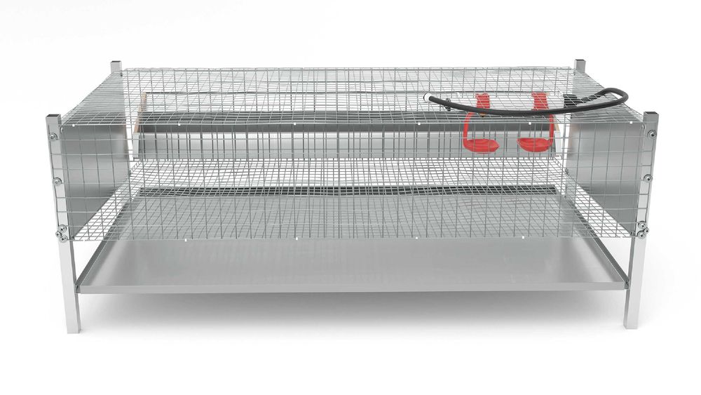 klatka dla przepiórek