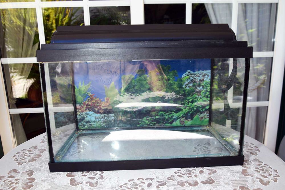 Aquário com lâmpada 42cm