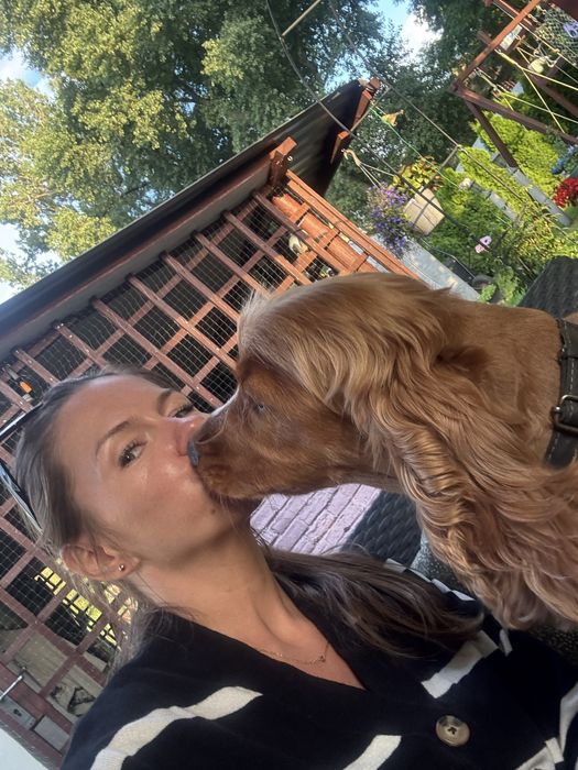 Domowa opieka nad psem. Hotel domowy dla psa