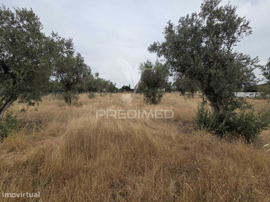 Lote de Terreno