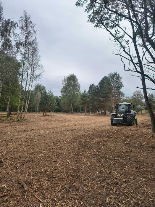 Mulczowanie Karczowanie Drzewa Krzewy Samosiejki Czyszczenie działki