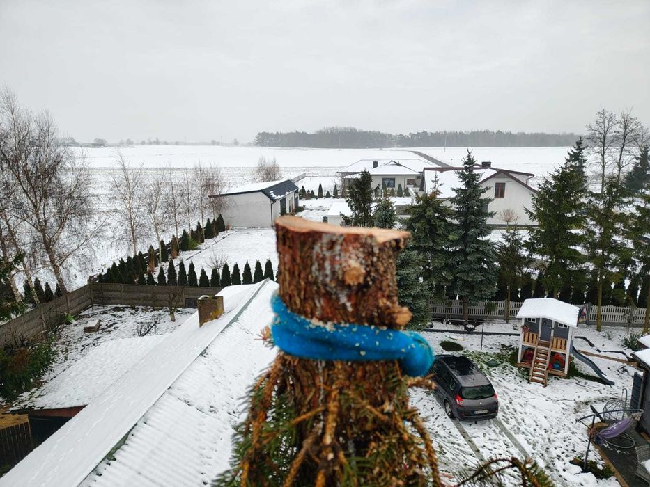 Wycinka/Pielęgnacja Drzew - Alpinistycznie