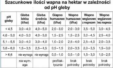 KREDA granulowana szybko działająca wapno