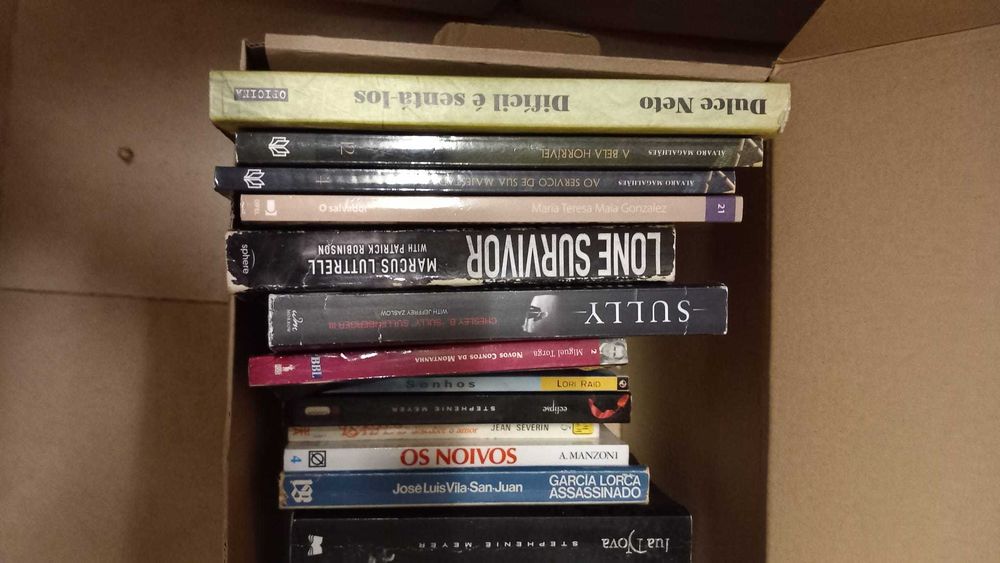 Lote 24 - LIVROS Diversos - Vendidos em Separado - Vários Preços