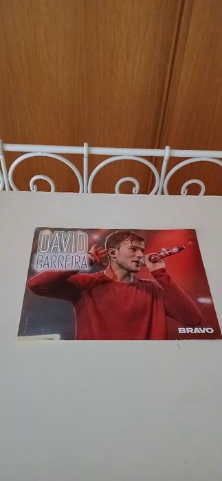 Poster David Carreira/The Vamps