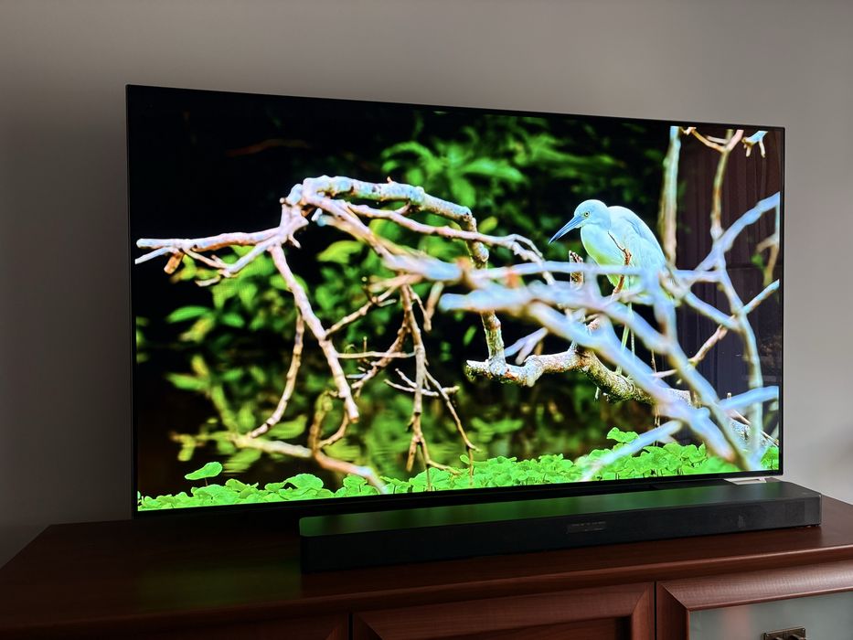 OLED55B8PLA AC 100 - 240 V