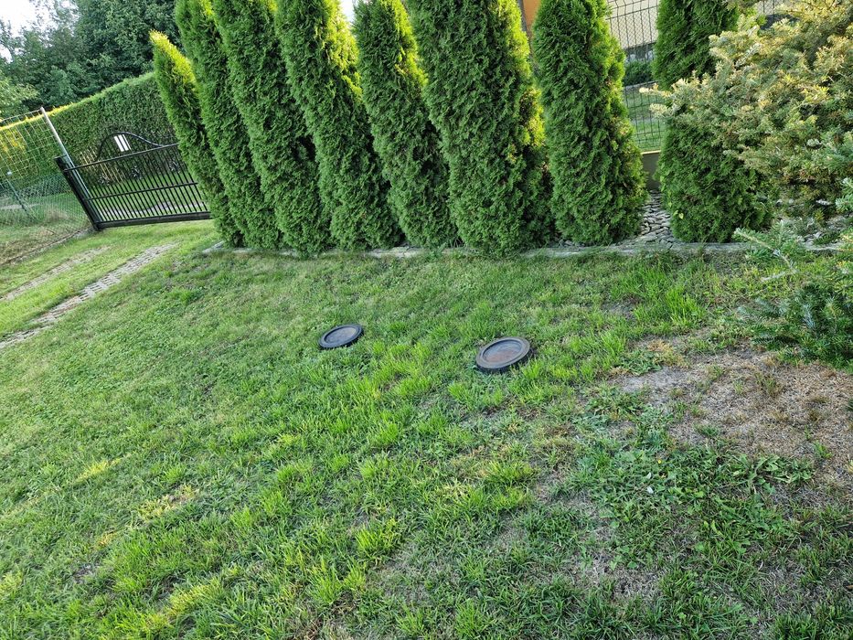 Zdjęcie 4