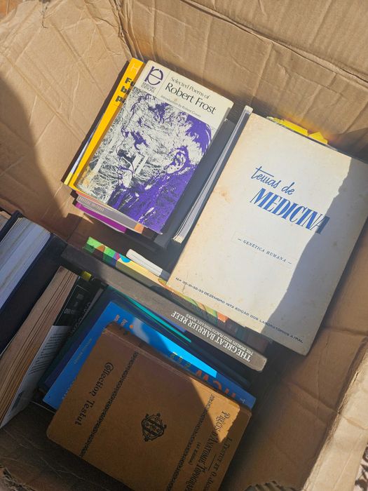 Lote de livros antigos