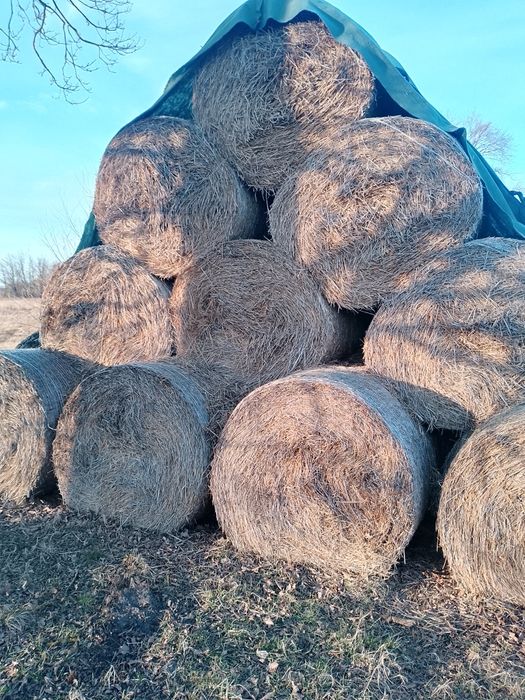 Sprzedam Siano i słoma