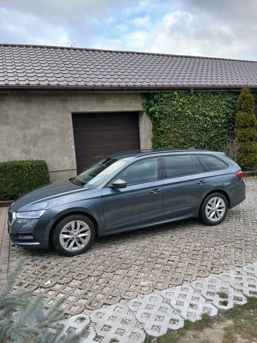 Skoda octavia salon polska