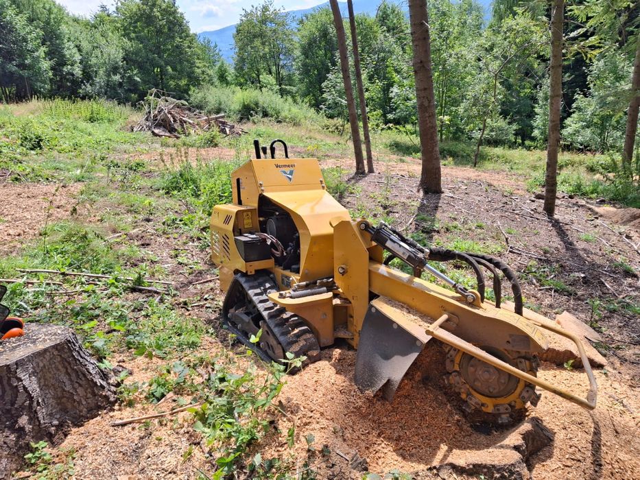 Frezowanie pni drzew