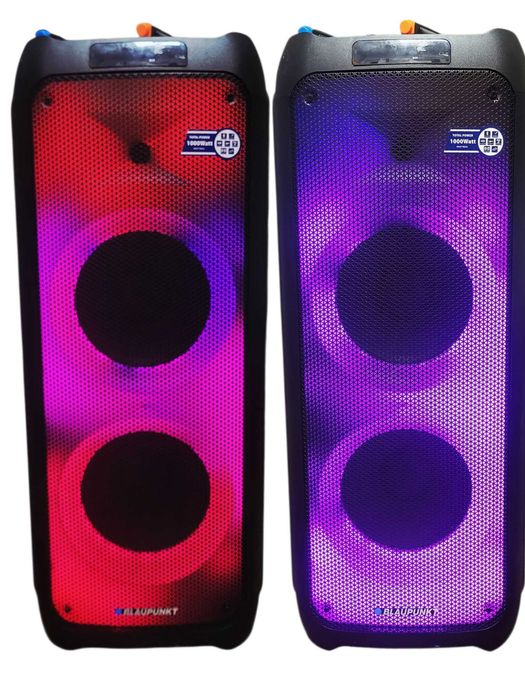 Głośnik BLAUPUNKT PB10DB 100W dwa mikrofony