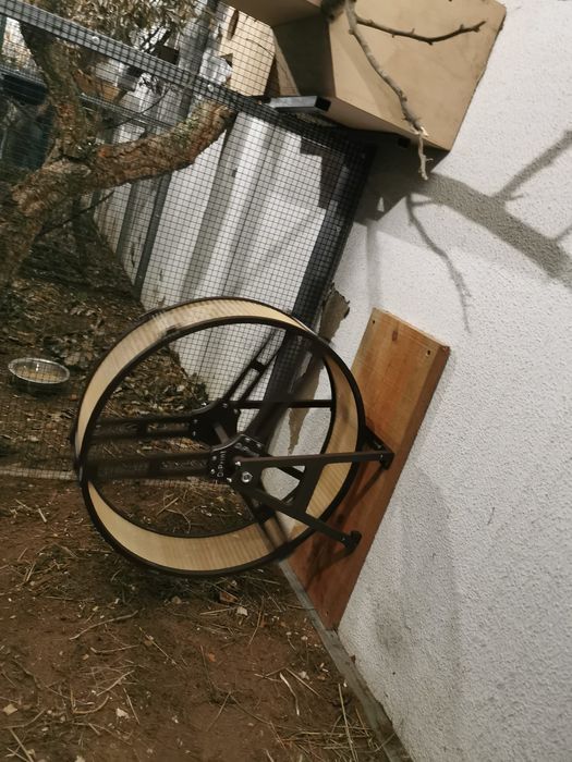 Roda grande para Animais - 50cm