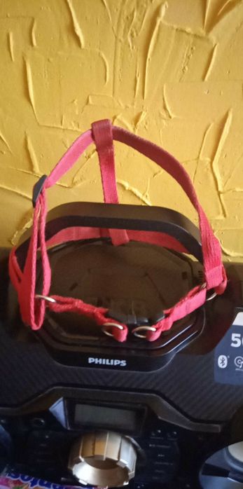 Szekli dla yojka do malutkiego  pieska lub kotka itp