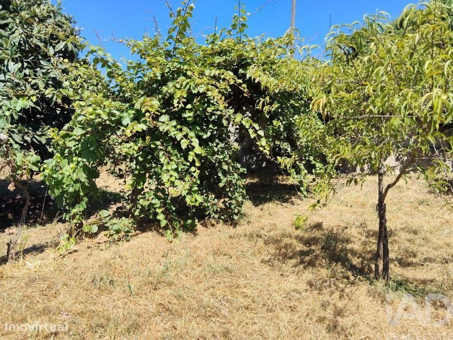 Terreno em Castelo