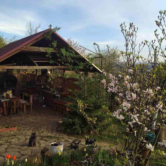 Дом по адресу ул. Добробутна (площадь 75 м²) - Atlanta.ua - фото 12