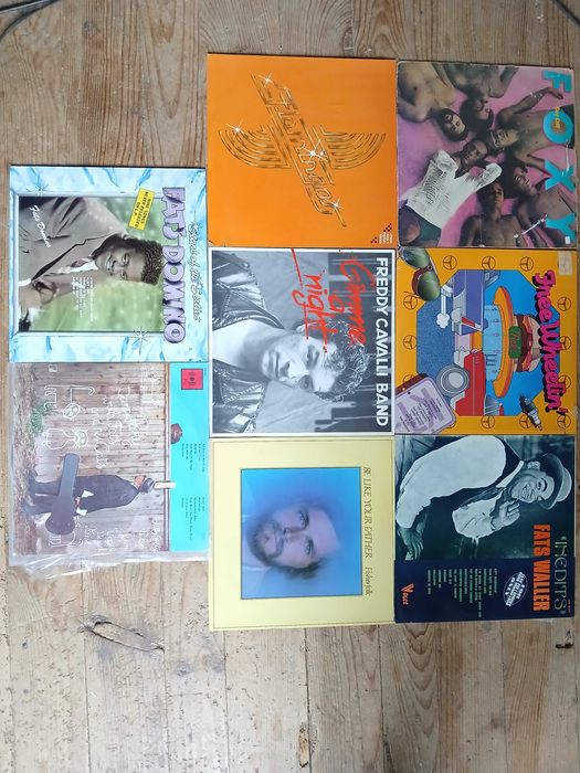 COLEÇÃO Vinil lp F