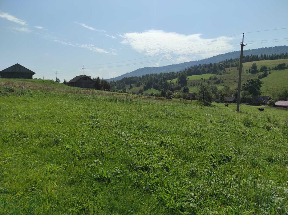 Земельна ділянка під забудову у Карпатах (с.Мита Львівська обл.)