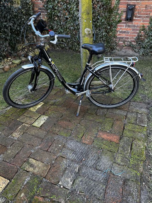 Rower Holenderski Viktoria