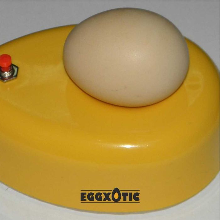 Ovoscópio Super LED para verificação dos Ovos