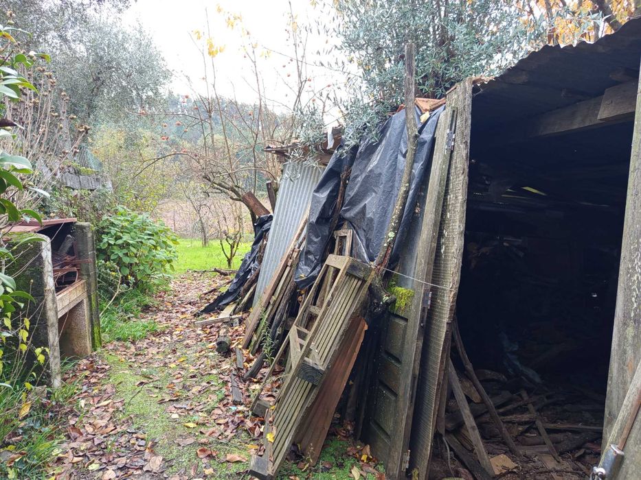 Terreno agrícola- Penalva do Castelo