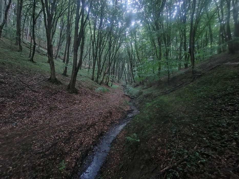Дача, Малі Грибовичі,  будинок оформлений, 5  соток,  під лісом.