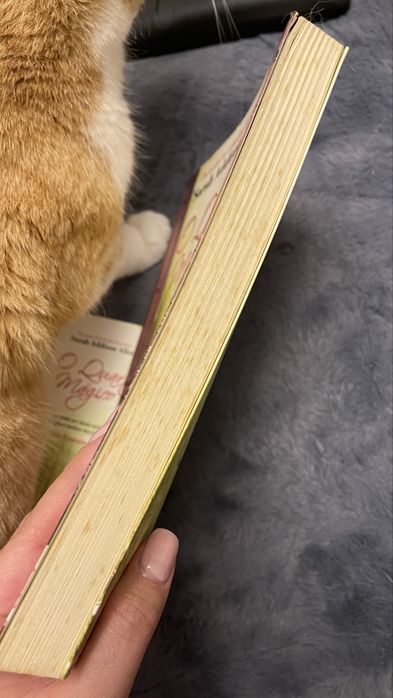 Livro O Quarto Mágico de Sarah Addison Allen