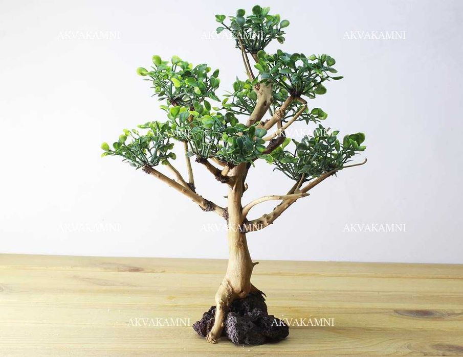 Корчі до акваріуму та тераріуму. Азалія, Ротанг, Коралове, Бонсаі.