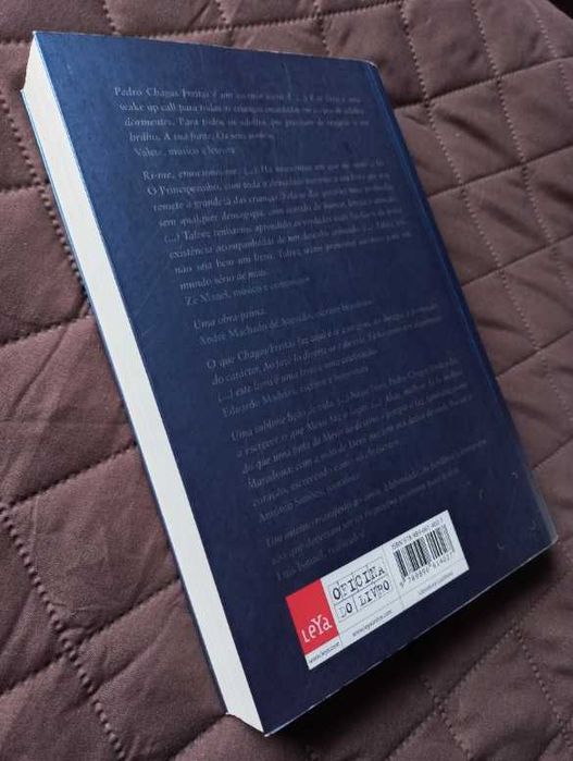 A Raridade das Coisas Banais - Pedro Chagas Freitas