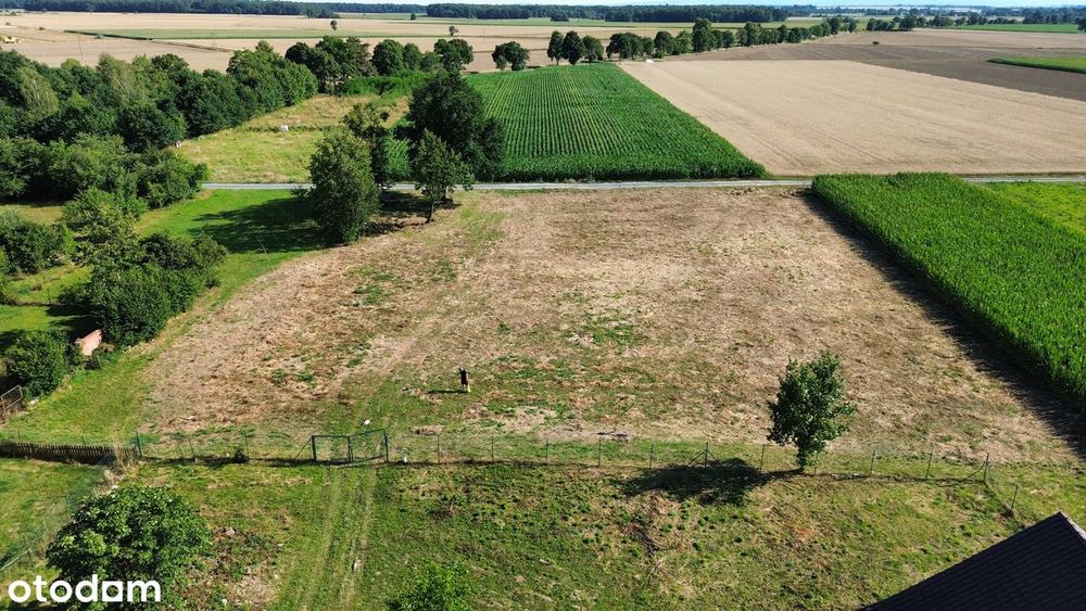 Działka budowlana 1000 m² z widokiem na Góry Opawskie i Pradziada