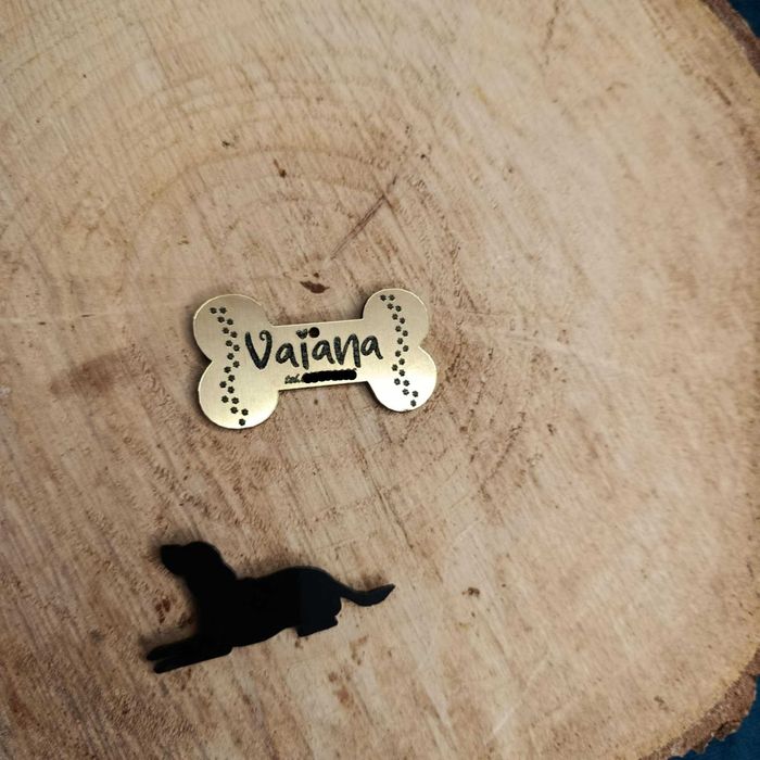 Zawieszka dla psa z imieniem!